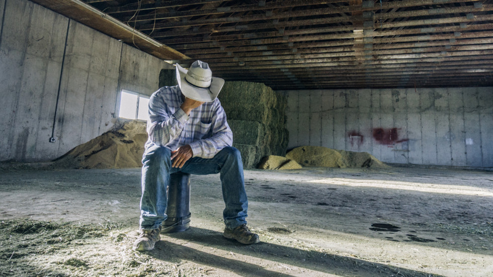 Iran war drives US farmers into worst crisis in 40 years – FT