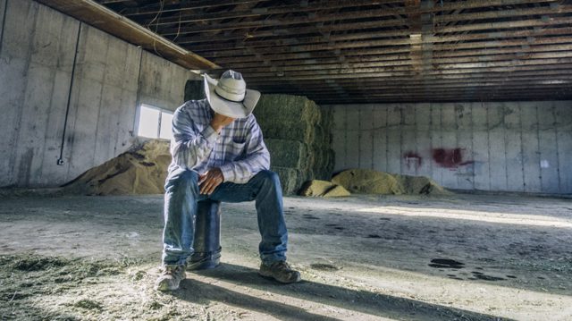 Iran war drives US farmers into worst crisis in 40 years – FT