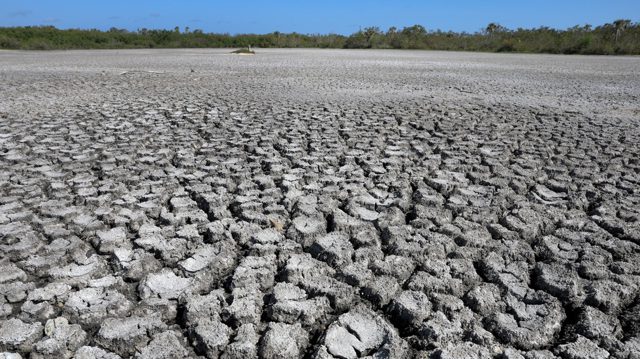 Heat not seen ‘for the last 100,000 years’ – climate monitor