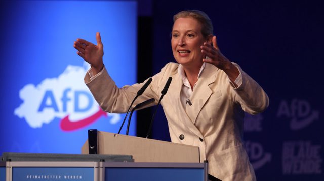 German coalition party pushes to ban AfD