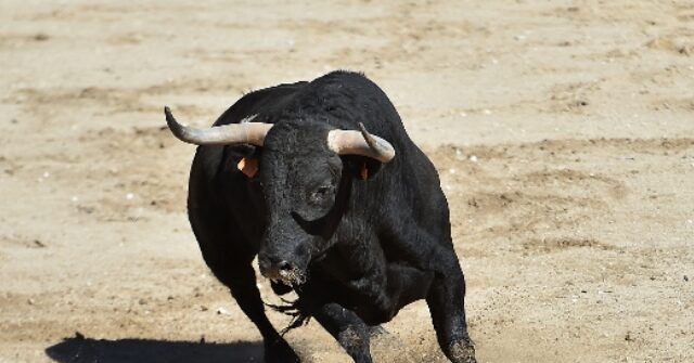 Crowd Watches in Shock as Bull Gores 22-Year-Old Bullfighter to Death in the Ring