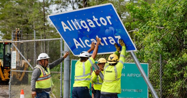 Environmental Activist on Alligator Alcatraz: Alligators Not ‘Vicious Animals’; ‘I’m More Concerned for the Wildlife than the Folks on the Site’