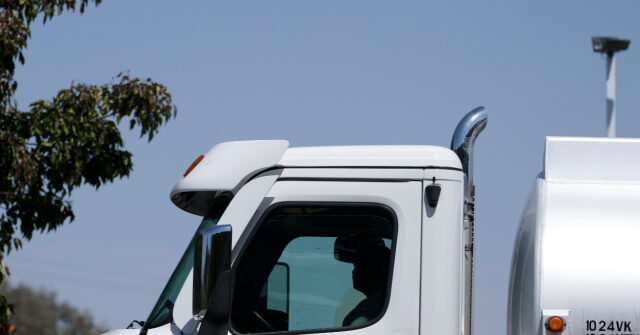Exclusive — American Truckers United’s Shannon Everett: Driver’s Licenses of Some Illegal Alien Truckers Say ‘No Name Given’