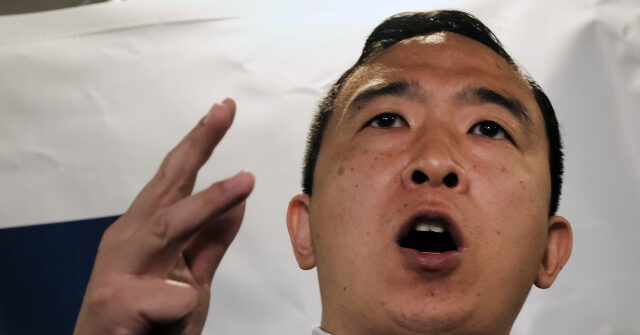 Andrew Yang Criticizes ‘Automatic’ Rifles After Semiautomatic Rifle Used in Manhattan Attack