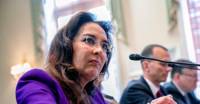Harmeet Dhillon: Semiautomatic Rifles Like the AR-15 ‘Are Protected by the Constitution’