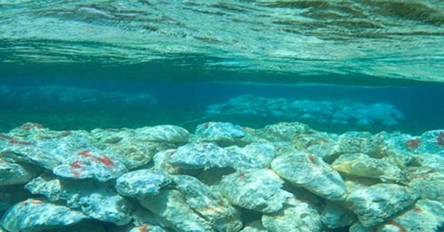 China Declares ‘Nature Reserve’ on Filipino Land