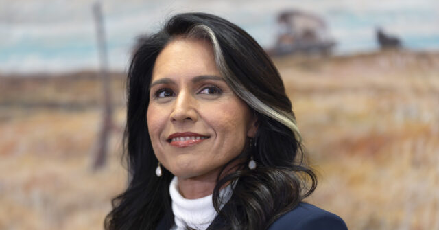 Exclusive: Senate Republicans Say Gabbard ‘Knocked It Out of the Park’ with ODNI Transformation