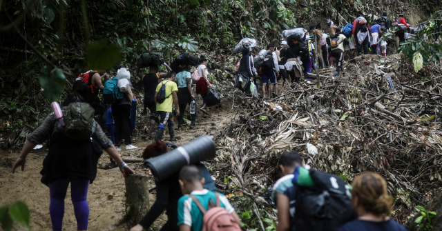 Conservative Governments in U.S. and Panama to Restore Darién Gap After Mass Migration Environmental Disaster