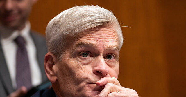 Report: Bill Cassidy Risks Missing Runoff as Letlow, Fleming Surge in Louisiana Senate Race