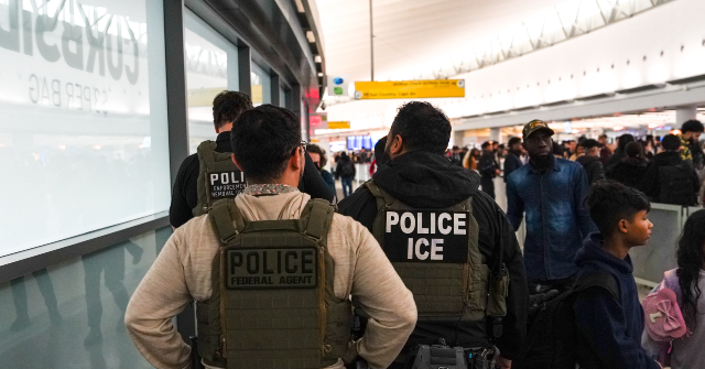 American Federation of Government Employees Rages over ICE Agents Assisting in Airports