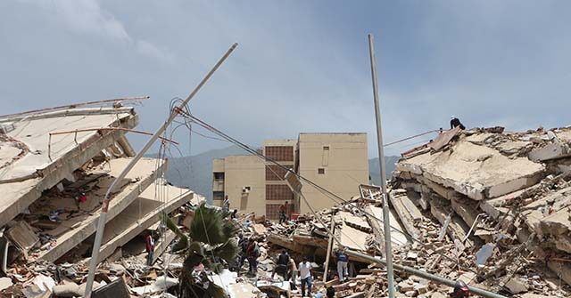 Hero Dog ‘Tsunami’ Rescues 12 People and Counting After Venezuela Earthquakes