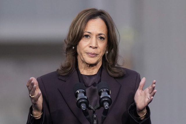 Kamala Harris on red-state Dems keeping her at arm's length: ‘Whatever they need to do to win’