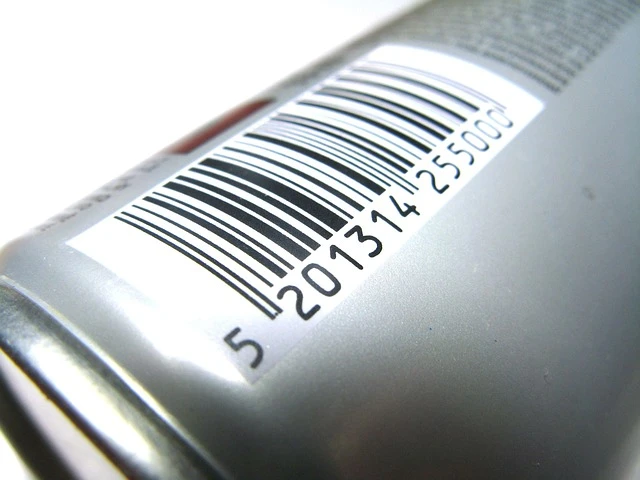 Algorithmic Pricing and the American Social Credit Score