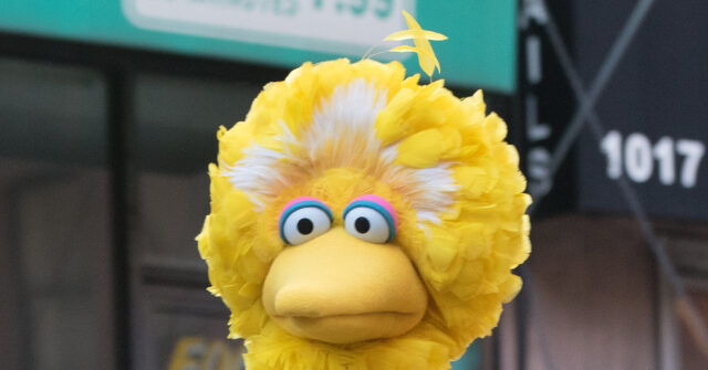 MSNBC Worries the Demise of Big Bird Could Send America’s Children Flocking to PragerU Kids