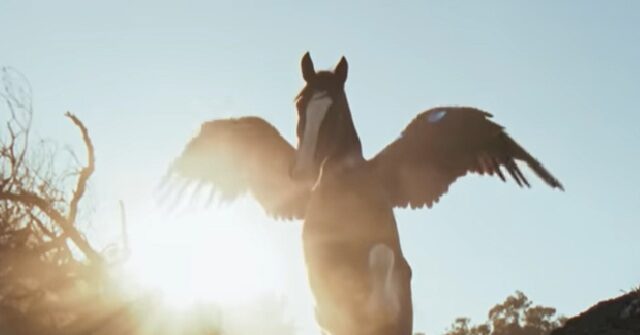 Former Anheuser-Busch Executive: Budweiser Super Bowl Ad a ‘Step in the Right Direction’ Post-Dylan Mulvaney