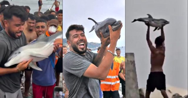 OUTRAGE as Ceuta Migrant Invaders Reportedly Beat Baby Dolphin to Death and Parade It Along the Beach (SHOCK VIDEOS)