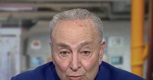 Schumer: Trump Sending Military to Cities Is Moving U.S. into an ‘Autocracy’