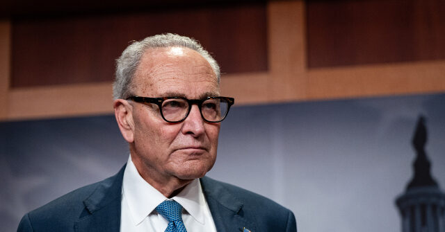 Schumer Shutdown to Halt Military Paychecks