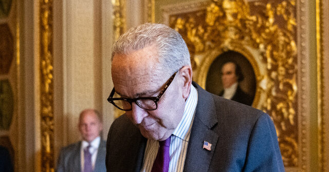 Democrat Rep. Figures: Party Leaders Are ‘Porch Puppies’ for Caving to Republicans on Shutdown