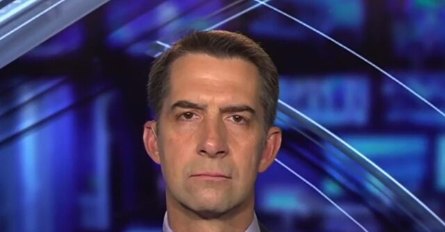 Cotton: We Can’t Count on Maduro’s VP Rodríguez to Be Friendly ‘Until She Proves It’