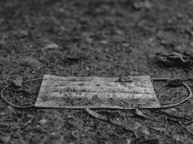 We Have Not Properly Reckoned with the Economic Insanity of 2020