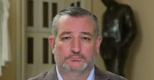 Cruz: Iran Conflict ‘Will Be Over in a Matter of Months’