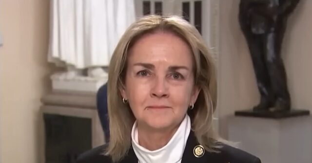 Dem Rep. Dean: We Should Focus on USAID Over Strikes