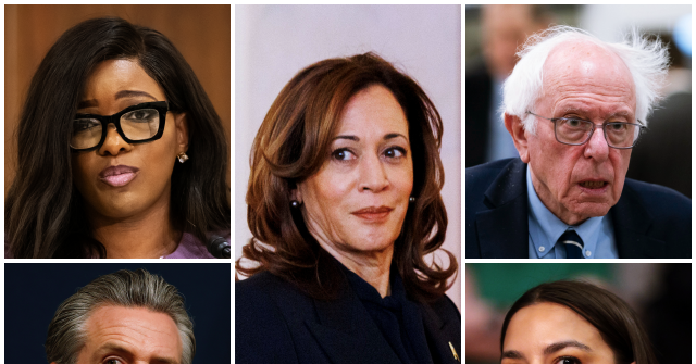 Reuters Poll: Americans Greatly Distrust Democrats’ Mass Migration Agenda