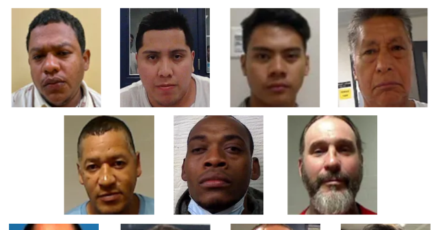 DHS Showcases Violent Illegal Aliens Arrested in Florida ICE Raids: Homicides, Sexual Assault of a Child