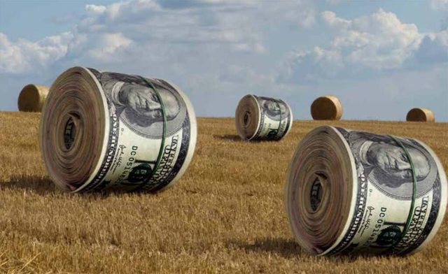Digital Harvest: BlackRock, Vanguard, State Street – Shareholders in the Shadows