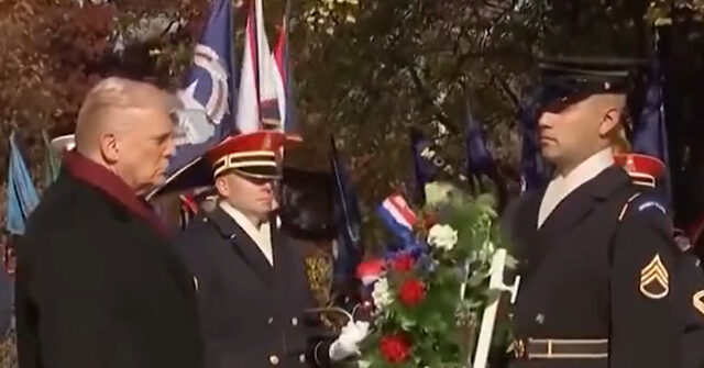President Trump Lays Wreath at Tomb of the Unknown Soldier on Veterans Day