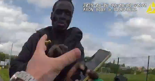 Sudanese Asylum Seeker Jailed After Taking Axe, Petrol, to UK School