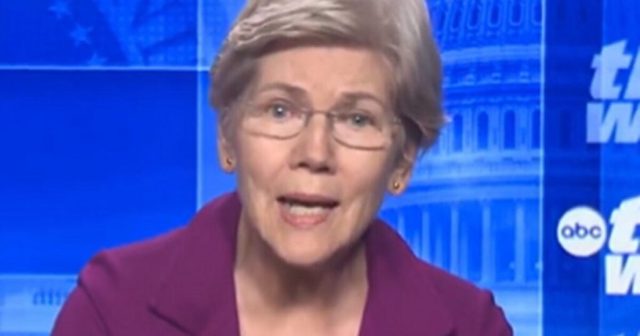 Sen. Elizabeth Warren Backs Zohran Mamdani’s Proposal For State-Owned Grocery Stores (VIDEO)