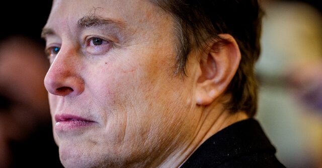 Prominent Tesla Bulls Criticize Elon Musk’s Political Ambitions as Stock Tumbles