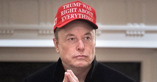 Tesla Shares Plummet 7% After Elon Musk Announces Launch of Political Party