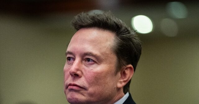 xAI Co-Founder Igor Babuschkin Departs Elon Musk’s Empire