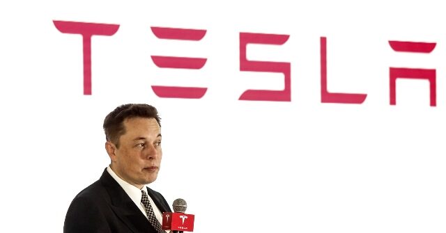 Hypemaster: Elon Musk’s Tesla Earnings Call Focuses on Robots Ending ‘Poverty’ Instead of Selling EVs