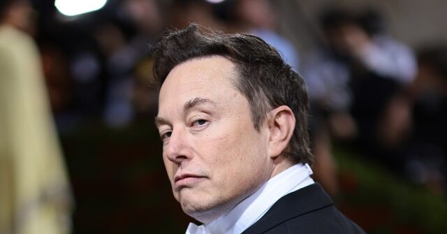 ‘Your AI Hates Whites & Asians:’ Elon Musk Slams Anthropic After Company’s $30 Billion Funding Round