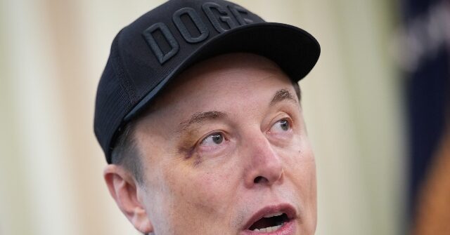Elon Musk’s Tesla Urges EPA to Protect What Lee Zeldin Calls ‘Holy Grail of Climate Religion’