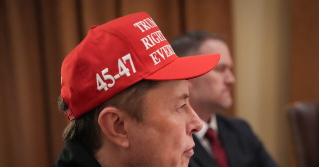 Elon Musk Lashes Out at Analyst Dan Ives for Proposing Tesla Have ‘Oversight on Political Endeavors’