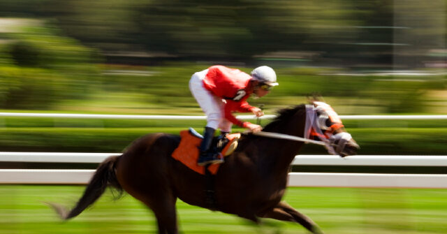 Jockey Club Demands Horse Drop ‘Austrian Painter’ Name Due to Possible Hitler Reference