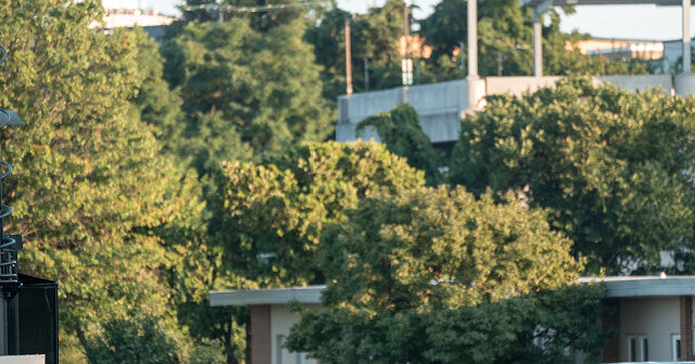 Democrats Criticize Mobilization of National Guard to Address D.C. Crime