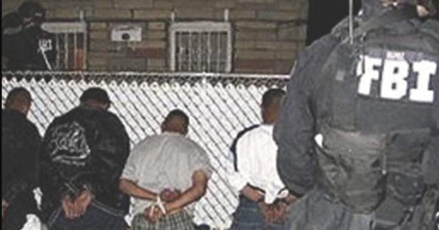 How Obama Dismantled America’s Drug, Crime, and Gang Intelligence Infrastructure