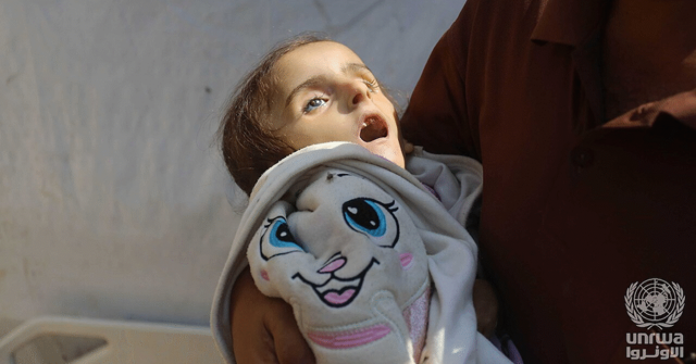 Gaza Isn’t Starving, It Is Being Starved