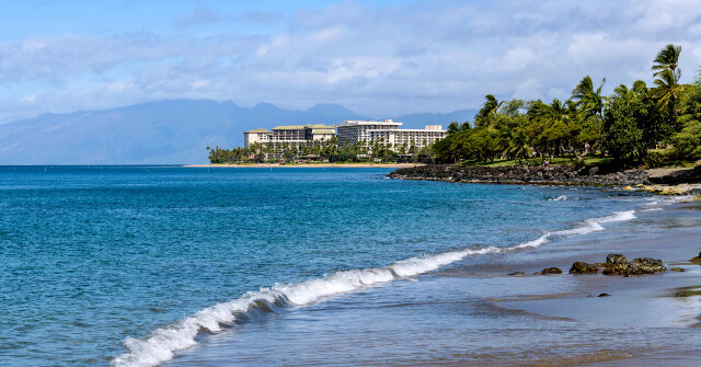 California Family Brutally Beaten in Hawaiian ‘Anti-White’ Attack