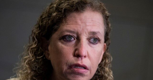Wasserman Schultz: Alligator Alcatraz Is Bad, Dodges on Alternative