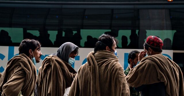Analysis: 85% of Afghan Households with Children Are on Welfare in U.S.