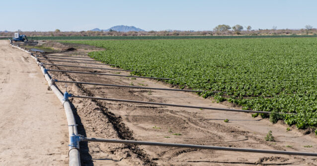 How a Wet November in Yuma Helped Drive Up Inflation in February