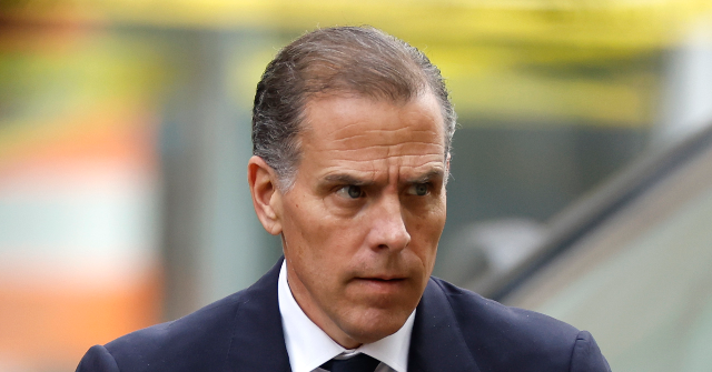 Hunter Biden: I’m ‘100 Percent In’ on a Cage Match with Don Jr. and Eric Trump