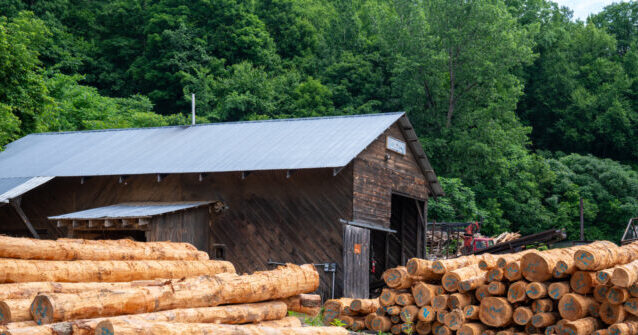 Trump Expands Use of National Security Tariffs to Lumber and Furniture